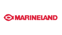 marine-sm